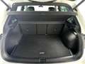 Volkswagen Tiguan 2.0 TDI R Line 4Motion*Pano*HUD*IQ*AHK* Weiß - thumbnail 7