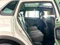 Volkswagen Tiguan 2.0 TDI R Line 4Motion*Pano*HUD*IQ*AHK* Weiß - thumbnail 8