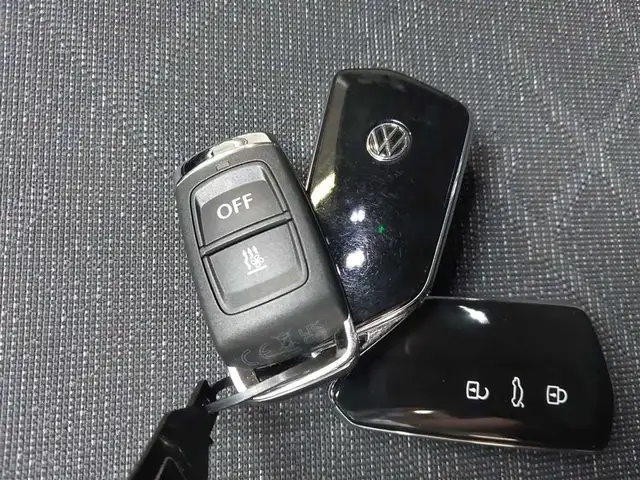 Volkswagen Golf view 19