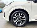 Ford Puma 1.0 ecoboost h ST-Line s&s 125cv * IVA ESPOSTA White - thumbnail 15