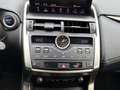 Lexus NX 300 h Style Edition LED, Navi, SHZ, Kamera, DAB Plateado - thumbnail 14