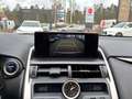 Lexus NX 300 h Style Edition LED, Navi, SHZ, Kamera, DAB Plateado - thumbnail 12