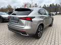Lexus NX 300 h Style Edition LED, Navi, SHZ, Kamera, DAB Plateado - thumbnail 4