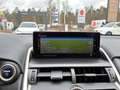 Lexus NX 300 h Style Edition LED, Navi, SHZ, Kamera, DAB Plateado - thumbnail 11