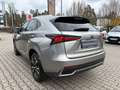 Lexus NX 300 h Style Edition LED, Navi, SHZ, Kamera, DAB Plateado - thumbnail 5