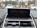 Lexus NX 300 h Style Edition LED, Navi, SHZ, Kamera, DAB Plateado - thumbnail 13