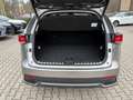 Lexus NX 300 h Style Edition LED, Navi, SHZ, Kamera, DAB Plateado - thumbnail 8