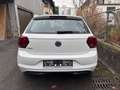 Volkswagen Polo Top Zustand / Erstbesitz / Servicegepflegt Weiß - thumbnail 5
