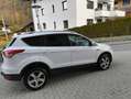 Ford Kuga Kuga 2,0 TDCi TrendTrend Weiß - thumbnail 4