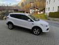 Ford Kuga Kuga 2,0 TDCi TrendTrend Weiß - thumbnail 3