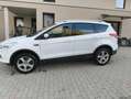 Ford Kuga Kuga 2,0 TDCi TrendTrend Weiß - thumbnail 5