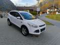 Ford Kuga Kuga 2,0 TDCi TrendTrend Weiß - thumbnail 8