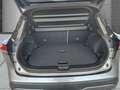 Nissan Qashqai Tekna MHEV 1.3 DIG-T Design-Paket HUD Panorama Nav Grigio - thumbnail 5