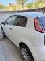 Fiat Punto Evo 3p 1.4 natural power Blue&Me 70cv - thumbnail 2