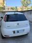 Fiat Punto Evo 3p 1.4 natural power Blue&Me 70cv - thumbnail 4