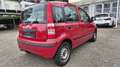 Fiat Panda 1.2 8V MyLive Rot - thumbnail 5
