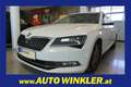 Skoda Superb 2.0 TDI Style Green tec Navi/Klimatronik Weiß - thumbnail 1