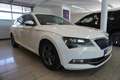 Skoda Superb 2.0 TDI Style Green tec Navi/Klimatronik Weiß - thumbnail 3