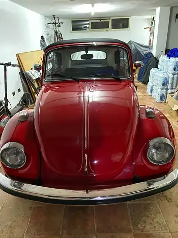 Volkswagen Maggiolino
