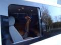 Volkswagen T5 Multivan Multivan Comfortline-7-Sitzer Wit - thumbnail 20
