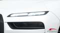 BMW 740 740d xDrive 48V M Sport Bianco - thumbnail 6