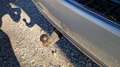 Mercedes-Benz ML 350 CDI 4Matic 7G-TRONIC DPF - thumbnail 12