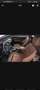 BMW 230 230i Coupe Msport auto - thumbnail 9