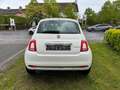 Fiat 500 1.0 Hybride Dolcevita Pano / Carplay /Ecc/ Pdc White - thumbnail 5