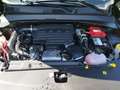 Jeep Compass 1.5 Turbo T4 130 CV MHEV 2WD North Star "NUOVO DA Verde - thumbnail 12