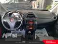 Fiat Punto Punto 1.2 Street 5p E6 Noir - thumbnail 12