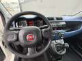 Fiat Panda Panda 1.2 easypower Pop Gpl 69cv Bianco - thumbnail 9