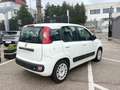 Fiat Panda Panda 1.2 easypower Pop Gpl 69cv Bianco - thumbnail 5
