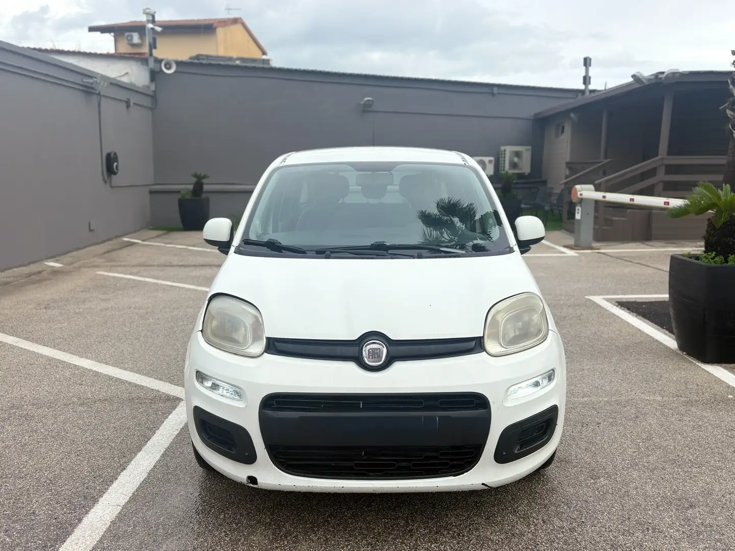 Fiat Panda Panda 1.2 easypower Pop Gpl 69cv Bianco - 2