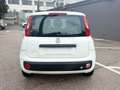 Fiat Panda Panda 1.2 easypower Pop Gpl 69cv Bianco - thumbnail 4