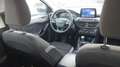 Ford Focus 1.0 Ecoboost MHEV Trend+ 125 Negro - thumbnail 8