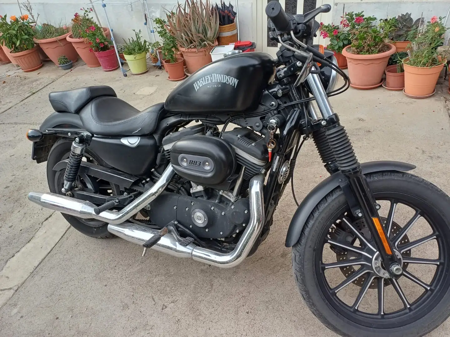 Harley-Davidson Iron 883 Iron Black XL883N Nero - 1