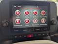 Fiat Panda My25 1.0 70cv Hybrid Pandina Nero - thumbnail 10
