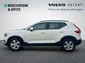 Volvo XC40 T3 Geartronic 2WD Momentum Core Weiß - thumbnail 8