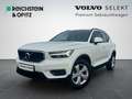 Volvo XC40 T3 Geartronic 2WD Momentum Core Weiß - thumbnail 1