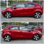 Kia Rio Spirit 1.4 CRDi Klimaauto. PDC SHZ Tüv 04.27 Rot - thumbnail 7