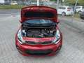 Kia Rio Spirit 1.4 CRDi Klimaauto. PDC SHZ Tüv 04.27 Rot - thumbnail 9
