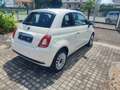 Fiat 500 1.0 Hybrid Cult Wit - thumbnail 5