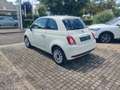 Fiat 500 1.0 Hybrid Cult Wit - thumbnail 7