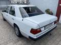 Mercedes-Benz 250 D Autom.Klima Standh.AHK 1-Hand H-Kennz. Weiß - thumbnail 2