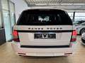 Land Rover Range Rover Sport SDV6 HSE *VOLL+NAVI+LEDER+20'A Blanc - thumbnail 12