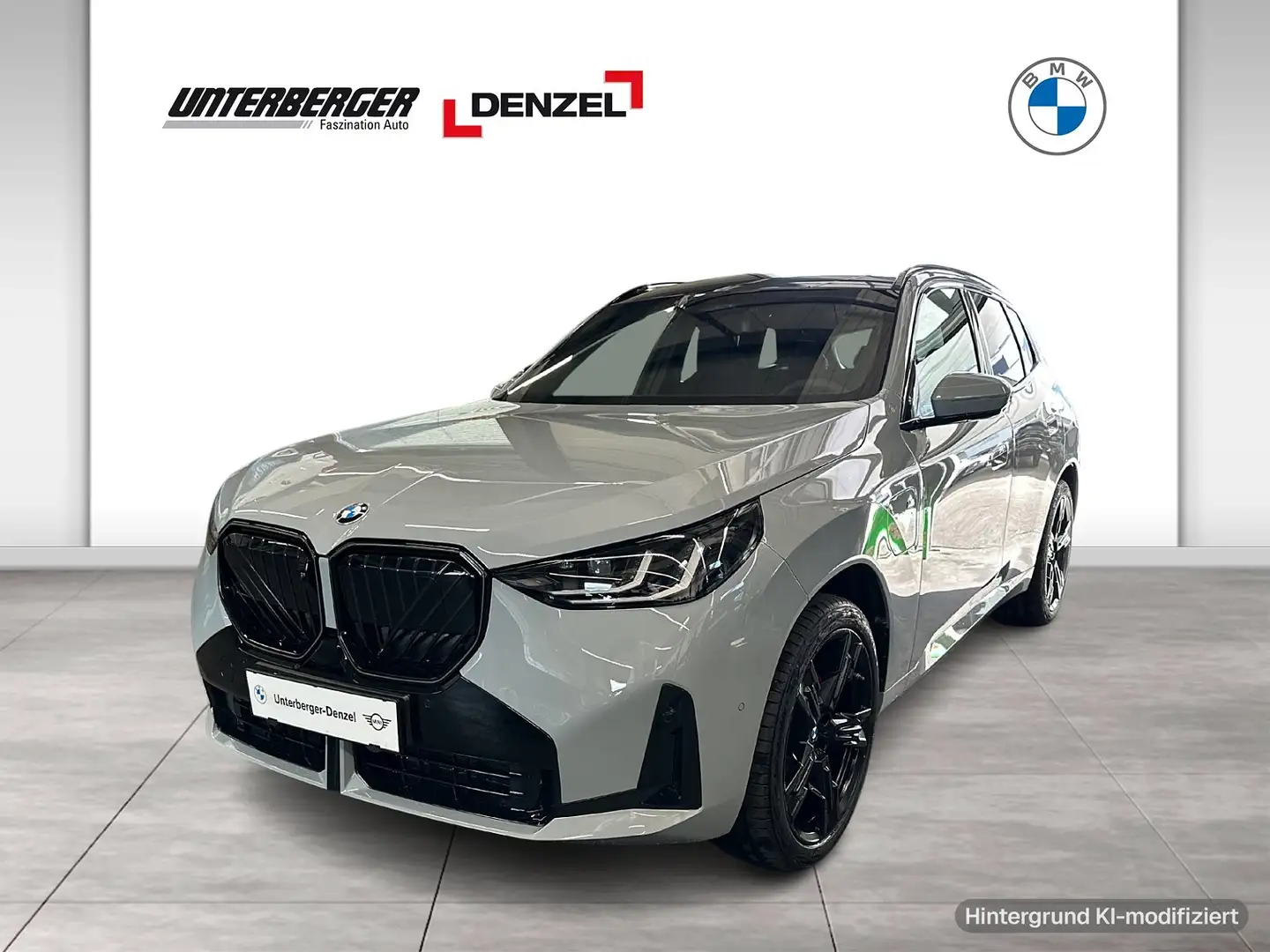 BMW X3 30e xDrive (G45) M Sportpaket HK HiFi DAB Grau - 1