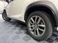 Lexus NX 300h 300h 2WD Pack Business Blanco - thumbnail 10