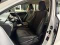 Lexus NX 300h 300h 2WD Pack Business Blanco - thumbnail 15