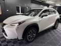 Lexus NX 300h 300h 2WD Pack Business Blanco - thumbnail 9