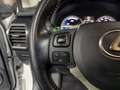 Lexus NX 300h 300h 2WD Pack Business Blanco - thumbnail 17